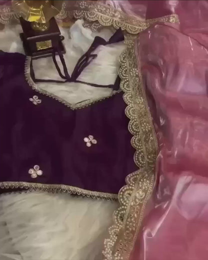 Satin Jimmy Choo Designer Saree with Exquisite Embroidery, Mirror Work, Lace Border & Stone Handwork, Paired with a Beautiful Designer Blouse